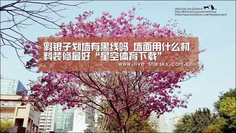 星空体育官网下载