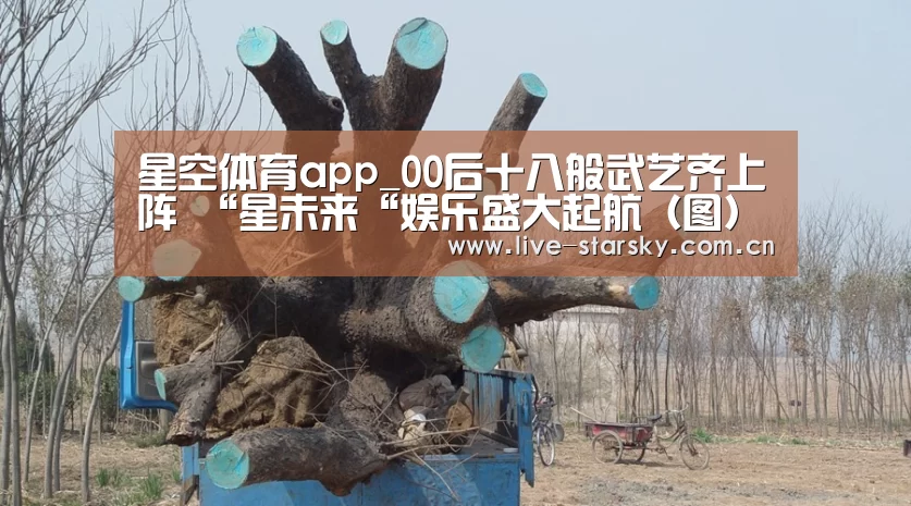 星空体育下载