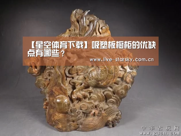 星空体育官网下载
