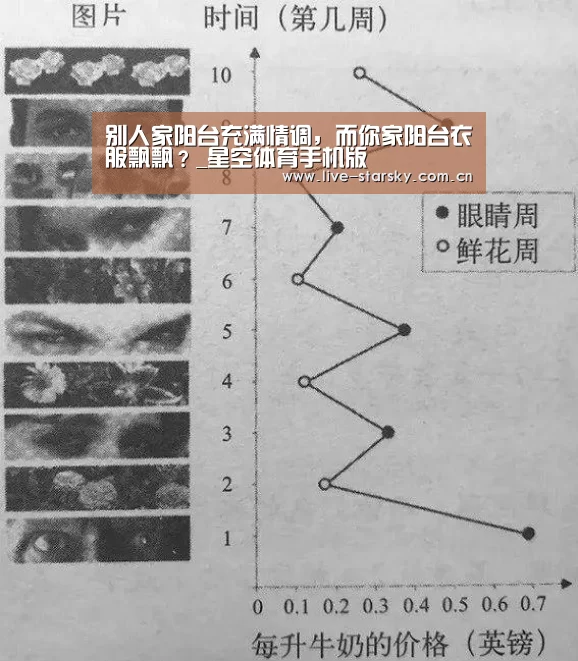 星空体育下载